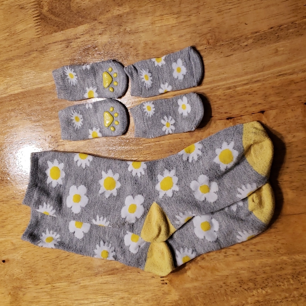 Gray and Daisy Print Matching Socks for Dog.